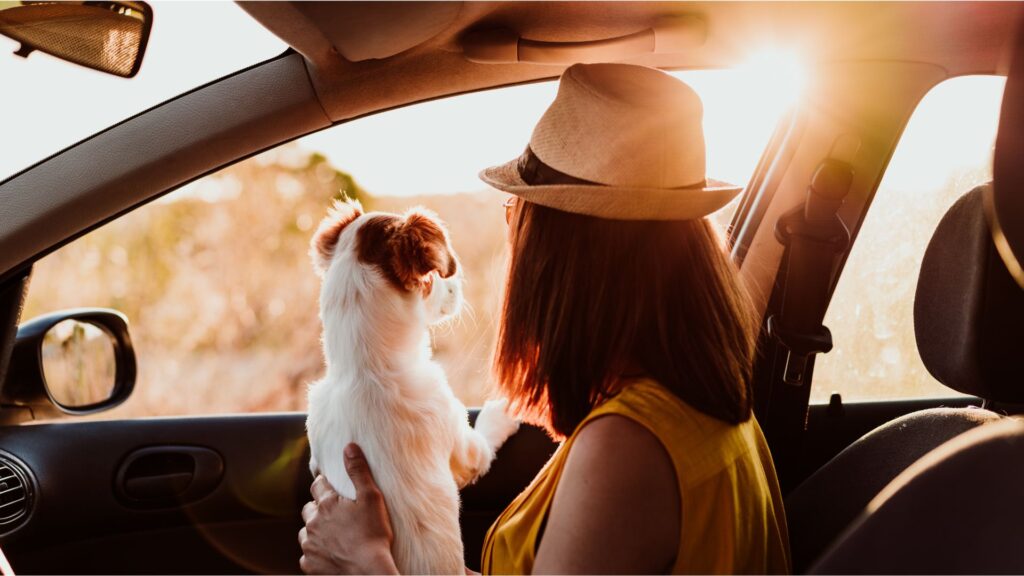 National Make a Dog’s Day with Subaru: Because Every Pup Deserves Love - Featured Image