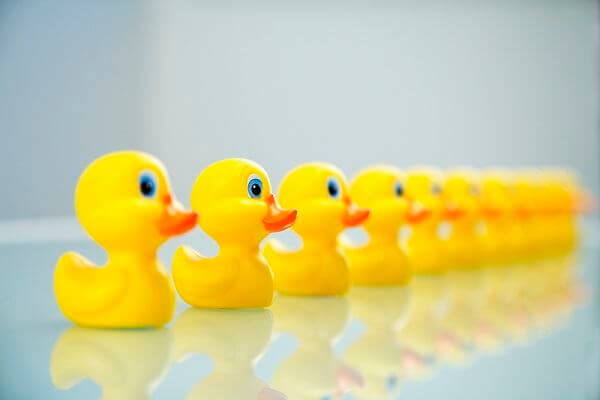 rubber ducks in a row